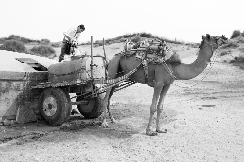 Men and Drinking Water Procurement - Transporting water for filling up an underground tank (kundi) at home in Bikaner district, Rajasthan
